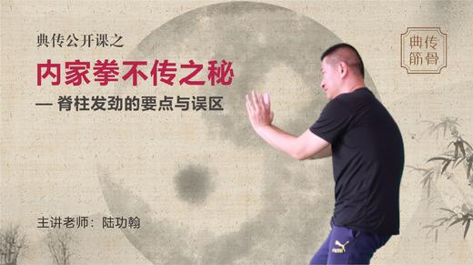 【回放结束】内家拳不传之秘——脊柱劲力探究 商品图0