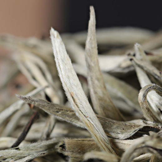 99     2025年春茶现货 普洱茶生茶 秧塔散茶单芽茶 500g古树散生茶 茶叶 商品图2