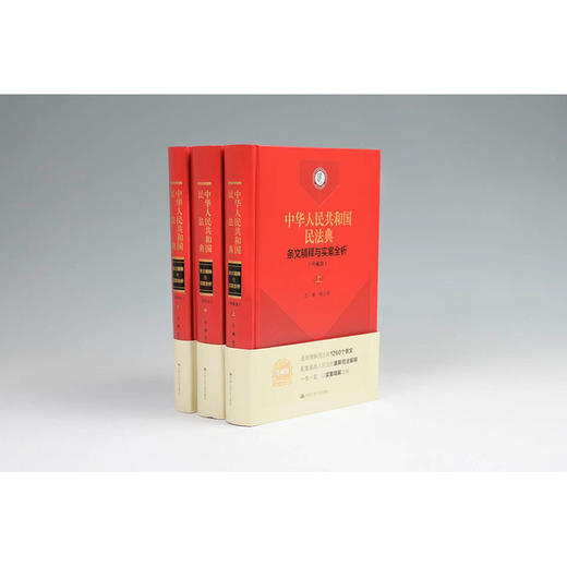《中华人民共和国民法典》条文精释与实案全析（珍藏版）/ 杨立新 商品图0
