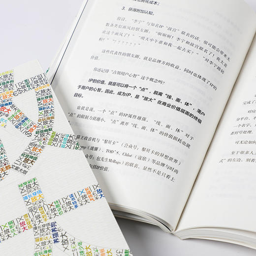 放大 如何放大你的小才华 池骋 著 刘润何川林少等力荐 励志才华变现 中信出版 商品图4