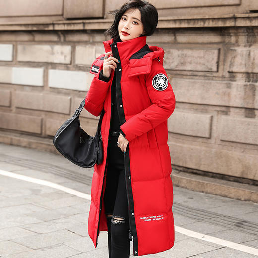 TC  95903男女同款情侣羽绒服过膝连帽加厚白鸭绒 商品图0