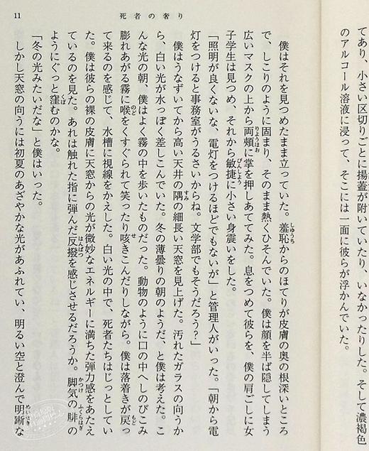 预售 【中商原版】死者的奢侈 饲育 日文原版 日本文学 死者の奢り飼育 大江健三郎 新潮社 改版 商品图4