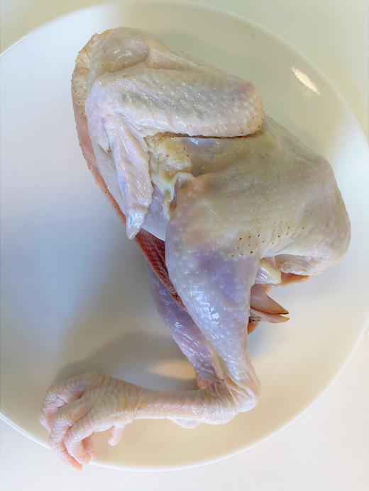 【冷冻】仔仔鸡1只整只-运输过程会解冻 商品图5