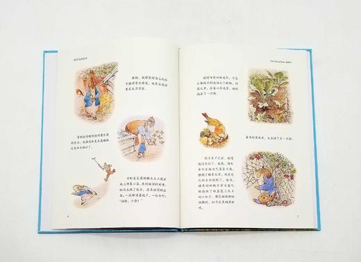 《彼得兔绘本系列》，精装16开本，全12册 商品图4