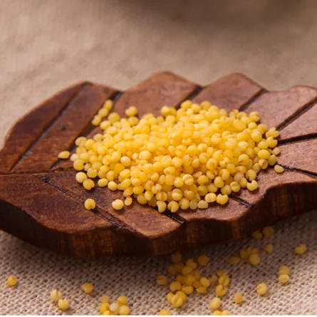 2025新【黄小米】口感香醇，49.9元5斤！ 商品图0