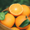 熟透了！可以吸的橙子 皮薄多汁 果肉细腻 | 爱媛果冻橙 大果礼盒5斤装 [福利品] 商品缩略图2