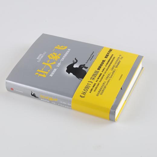 让大象飞 激进创新 让你一飞冲天的创业术 史蒂文 霍夫曼 著 《从0到1》实践版 中信出版社图书 商品图1