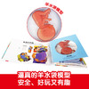 我们的身体3d立体翻翻书3-6岁我们的太空儿童身体认知绘本乐乐趣3d科普益智玩具书揭秘人体的秘密小学生一二三年级百科知识大全 商品缩略图1