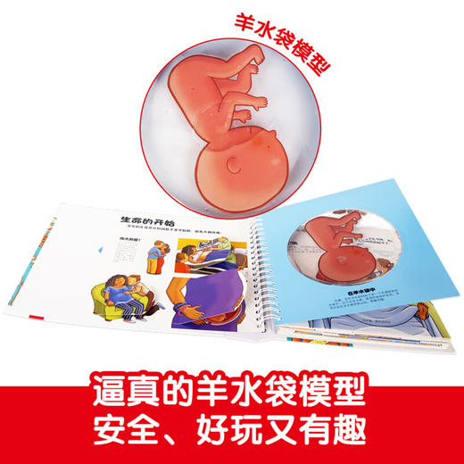 我们的身体3d立体翻翻书3-6岁我们的太空儿童身体认知绘本乐乐趣3d科普益智玩具书揭秘人体的秘密小学生一二三年级百科知识大全 商品图1