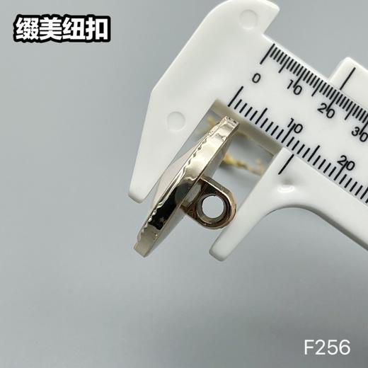 F256(整包购买) 商品图7