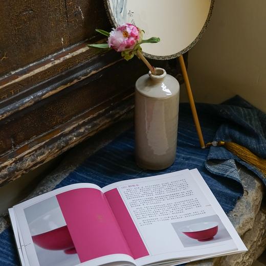 中国传统色  色彩通识100讲郭浩 著 中国色彩文化传承古典中国文化 中国典籍色彩 绘画历史诗歌美学艺术文艺 商品图3