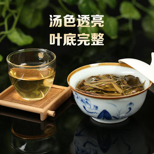102     2024年头波春茶春茶易武普洱茶1公斤 春茶 生茶散茶古树纯料 商品图2