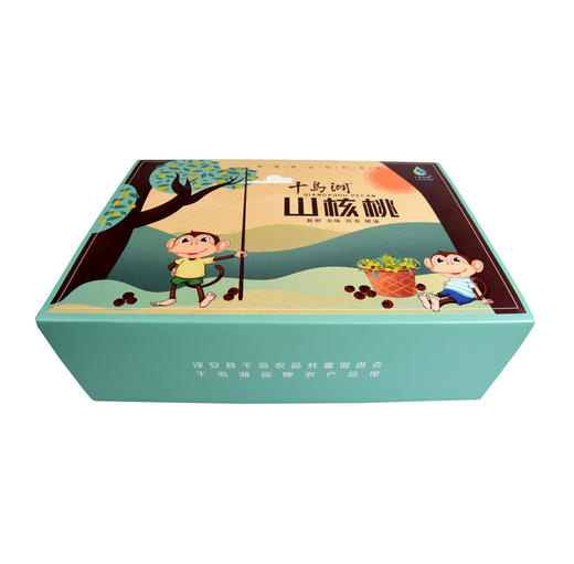 【淳安县】千岛湖山核桃、山核桃仁、礼盒 商品图5