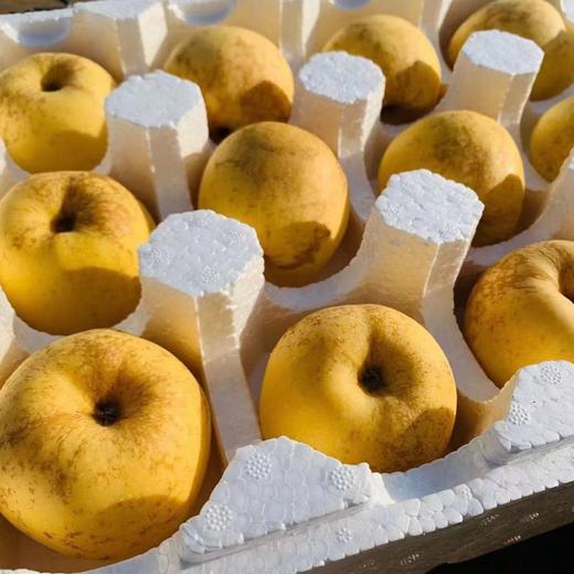山东烟台维纳斯苹果富士苹果丑苹果黄金脆甜奶油4-4.5斤包邮 商品图4