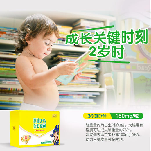 ⁵【藻油DHA】 360粒/盒 每粒含DHA150mg 含ARA不含EPA  【状元郎】YY05-QTT-ZY 商品图1