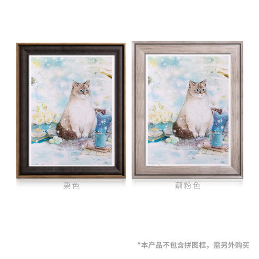 1200片 平面拼图 塑料拼图 H2685 Jina-冬日童话 商品图4