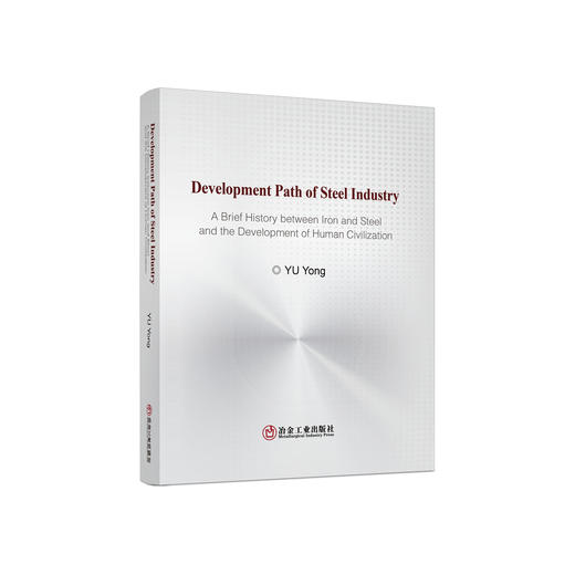 Development Path of Steel Industry/于勇 商品图0