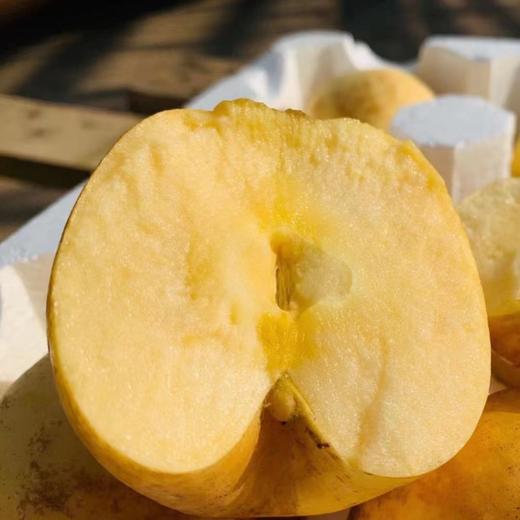 山东烟台维纳斯苹果富士苹果丑苹果黄金脆甜奶油4-4.5斤包邮 商品图2