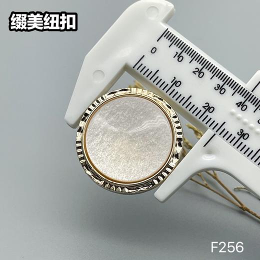 F256(整包购买) 商品图6