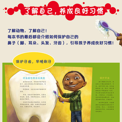 如果你有动物的鼻子（套装5册）3-6岁桑德拉马克尔著儿童读物 让孩子站在动物的角度观察周围的世界 绘本漫画科普百科中信 商品图4