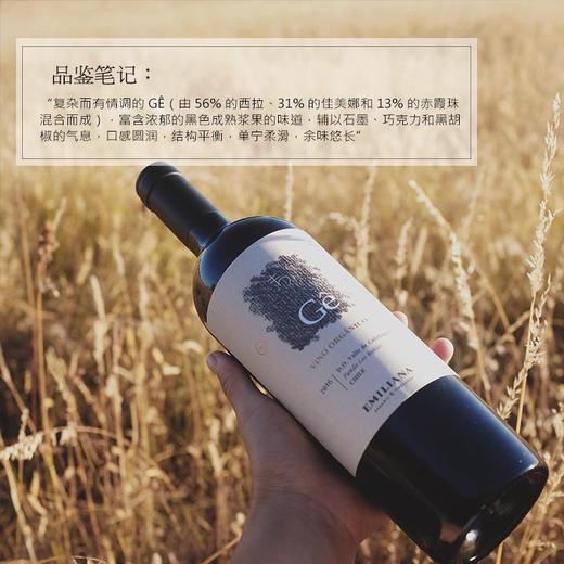 【世界葡萄酒品牌50强】极干红葡萄酒 智利原瓶原装进口 14.5%vol 商品图3