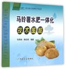 马铃薯栽培技术（3册）栽培技术+病虫害防治+水肥管理+视频技术指导 商品缩略图3