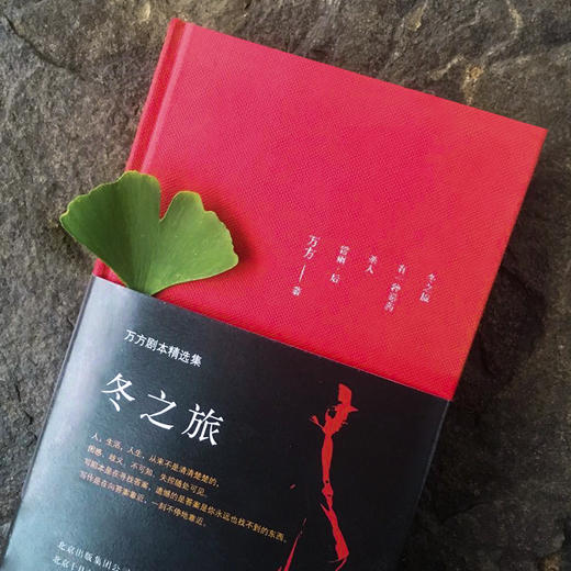 冬之旅 万方剧本精选集 万方著  曹禺先生诞辰110周年特别行动 日出 新原野 北京人 雷雨两代人的作品 商品图2
