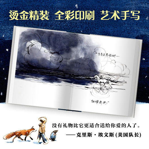 男孩 鼹鼠 狐狸和马 查理麦克西 著 汪晗雪 译 文学绘本漫画书籍 商品图2