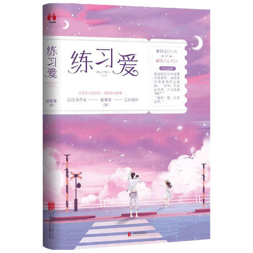 练习爱 夏果果 著 中国青春文学小说 现代言情 商品图1