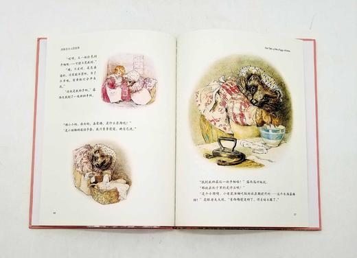 《彼得兔绘本系列》，精装16开本，全12册 商品图6