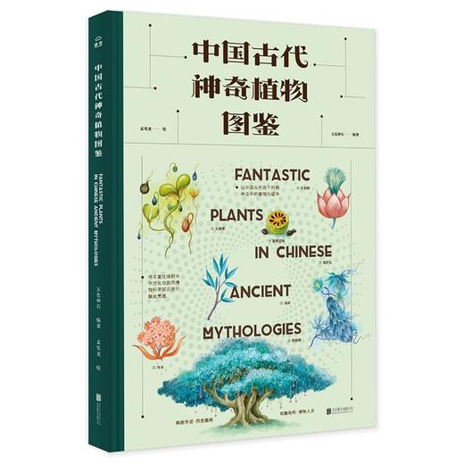 中国古代神奇植物图鉴 五色神石 商品图0