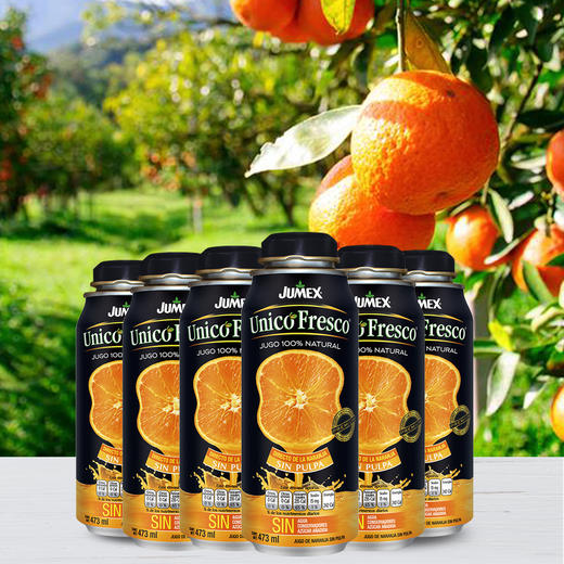 JUMEX果美乐·生活  果汁饮料 商品图1