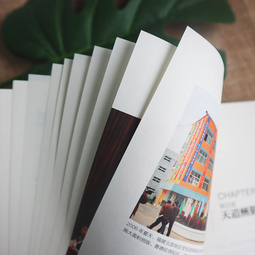 心若菩提 曹德旺自传 奥斯卡电影美国工厂原型 个人传记企业经营管理成功励志哲学知识读物 商品图2