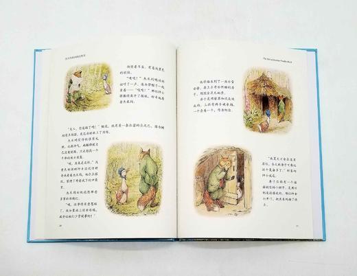 《彼得兔绘本系列》，精装16开本，全12册 商品图5