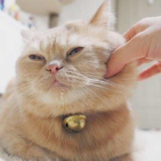 慕子限时活动商品 商品图0