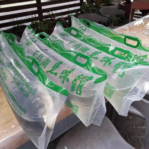 淳牌有机鱼千岛湖有机鱼头新鲜野生活鱼（江浙沪包邮） 商品图2