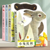 亮丽精美触摸书幼儿早教小兔比利儿童启蒙洞洞翻翻婴儿宝宝益智触感刺激0-3岁早教认知幼儿阅读绘本 商品缩略图0