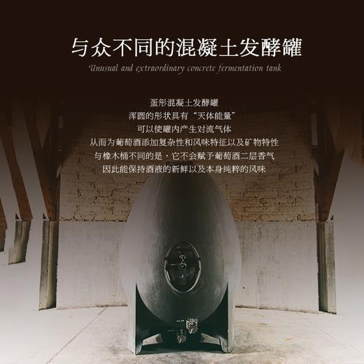 【世界葡萄酒品牌50强】极干红葡萄酒 智利原瓶原装进口 14.5%vol 商品图4