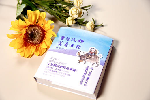 小林生活禅无需抱怨可以抱我+生活即禅笑看平凡全2册 商品图5