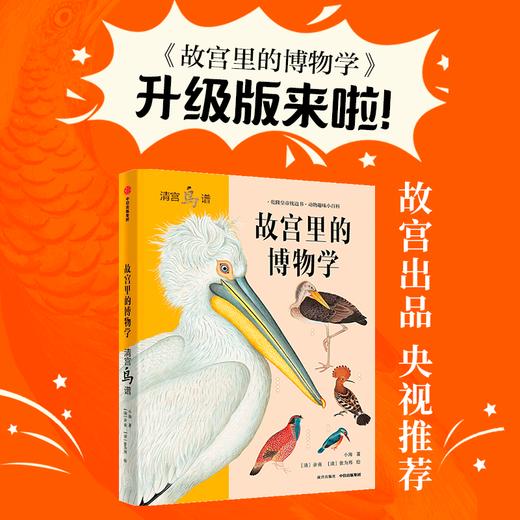 故宫里的博物学 清宫鸟谱5-15岁 小海著科普百科 图鉴 鸟图鉴 中小学生历史语文科学知识大全 神奇动物在哪里 商品图0