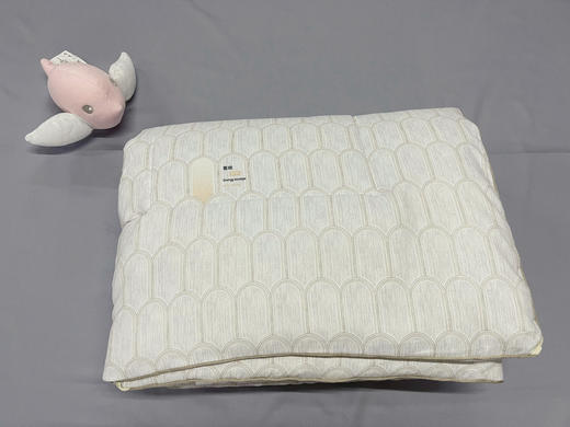 幼儿园入园冬被芯 商品图0