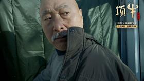 京东贺岁微电影《顶牛》传播项目