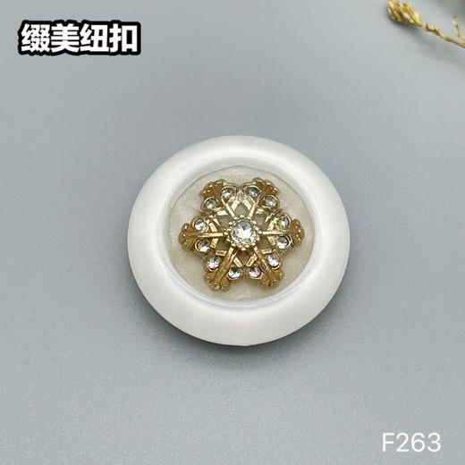 F263(整包购买) 商品图1
