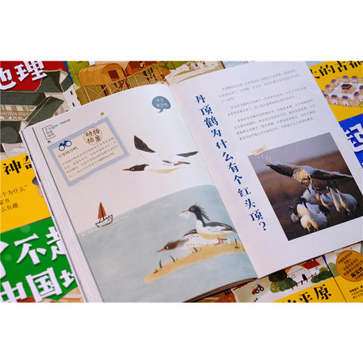 了不起的中国地理：动物的王国 商品图1
