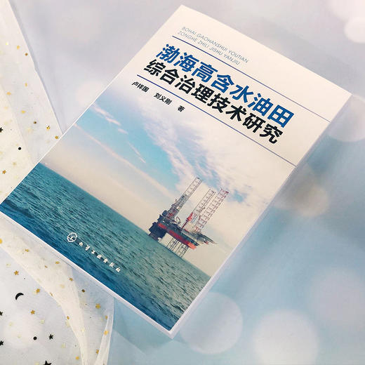 渤海高含水油田综合治理技术研究 卢祥国 刘义刚 石油开发技术管 商品图1