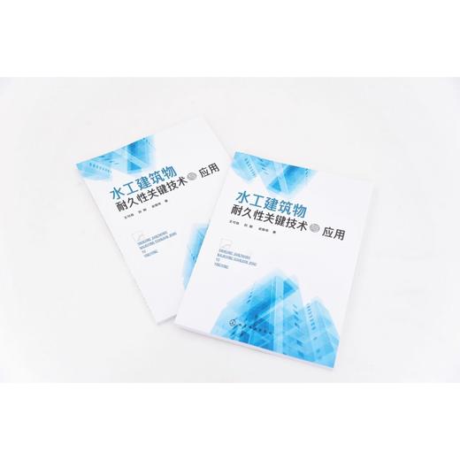 水工建筑物耐久性关键技术与应用 商品图1