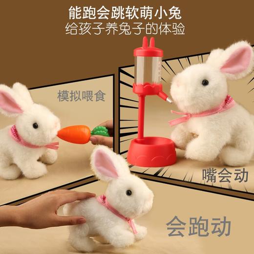 韩国正版mimiworld白色拉比兔女孩公主宠物儿童过家家玩具兔 商品图1