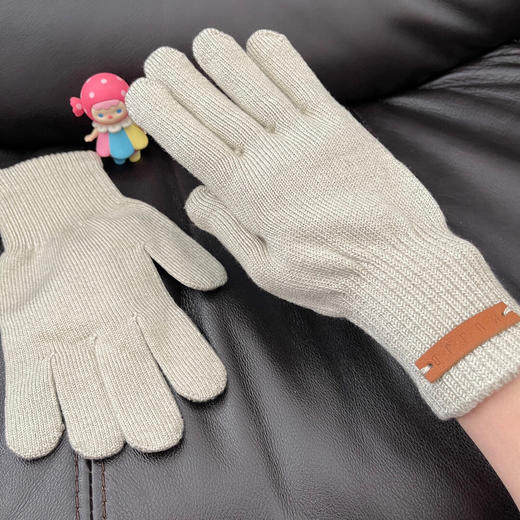 YJJ692  出口荷兰MUJJO触屏手套 商品图0