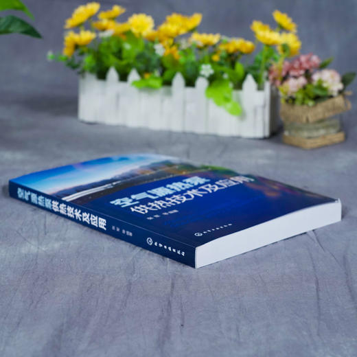 空气源热泵供热技术及应用 张军 源热泵技术原理 空气源热泵系统 商品图2