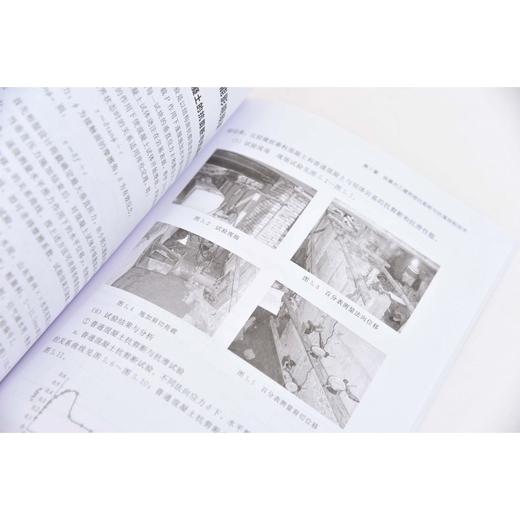 水工建筑物耐久性关键技术与应用 商品图3
